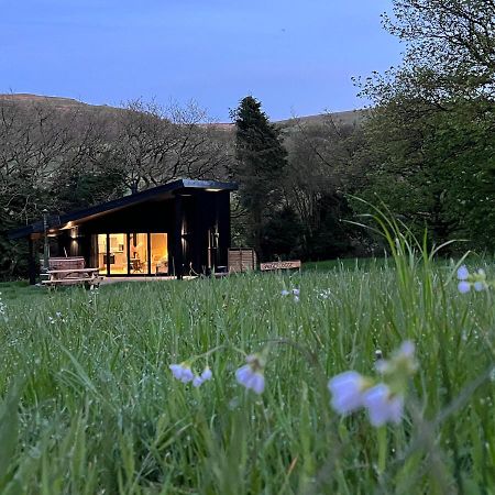 Quirky, Luxury Hideaway Villa Llanbrynmair Exteriör bild