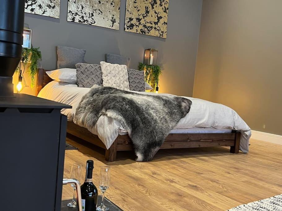 Quirky, Luxury Hideaway Villa Llanbrynmair Exteriör bild