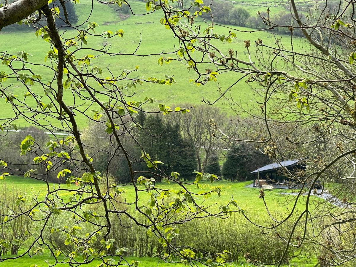 Quirky, Luxury Hideaway Villa Llanbrynmair Exteriör bild
